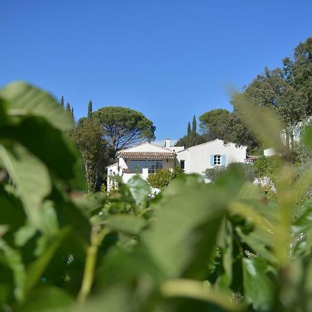 Mas Du Perthus Bed and Breakfast Cassis Eksteriør billede