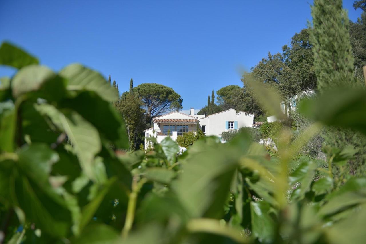 Mas Du Perthus Bed and Breakfast Cassis Eksteriør billede
